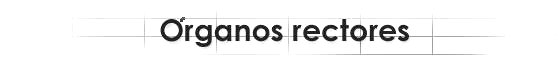 �rganos rectores