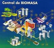 Central de BIOMASA