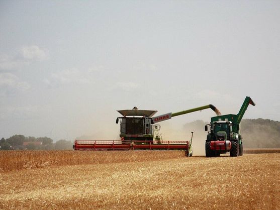 La ‘agrotech’ Widhoc compra la sevillana ec2ce para consolidar su apuesta por la IA